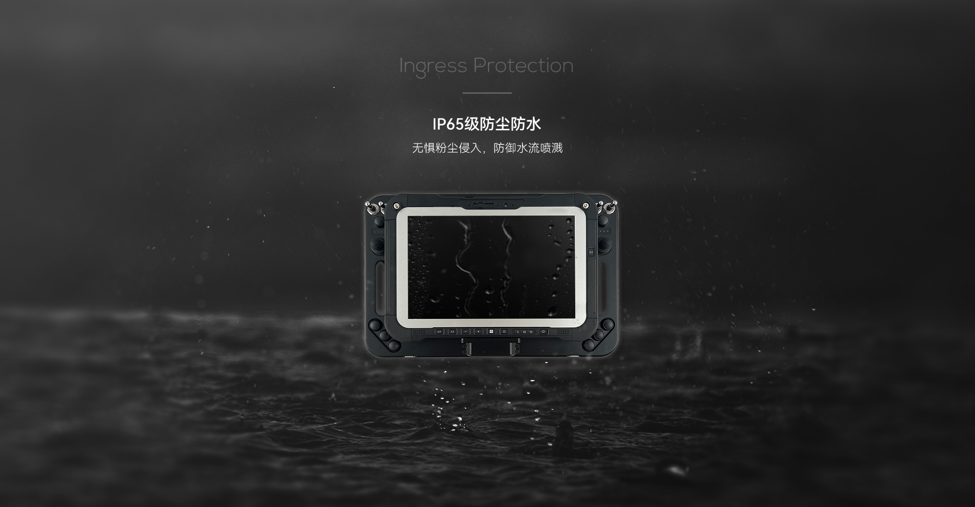 6P202ip65.jpg